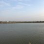 1493720020IMG_0719
