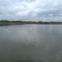 1493720032IMG_0731
