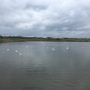 1493720037IMG_0732
